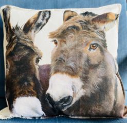 Donkeys-cushion