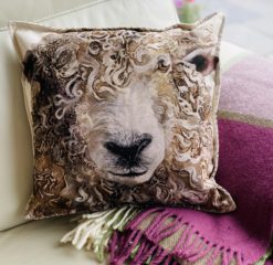 Curly-sheep-cushion