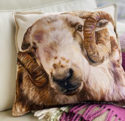 Ram-sheep-cushion